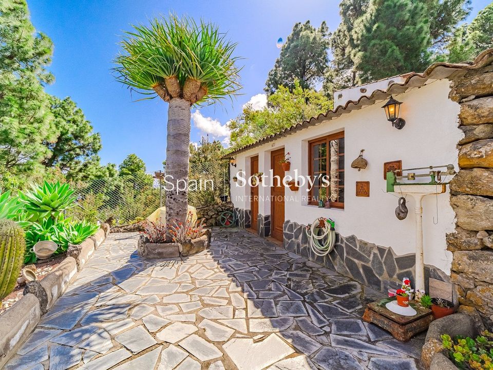 Farm i Icod de los Vinos, Tenerife - foto 5