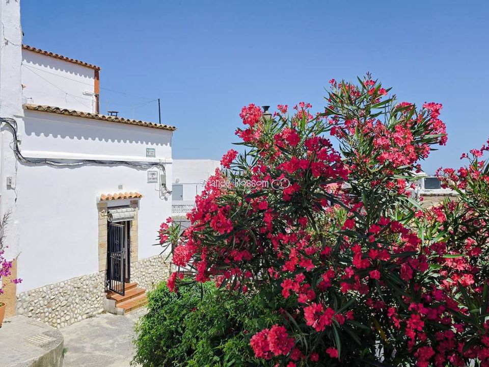 Byhus i Oliva, Valencia - foto 2