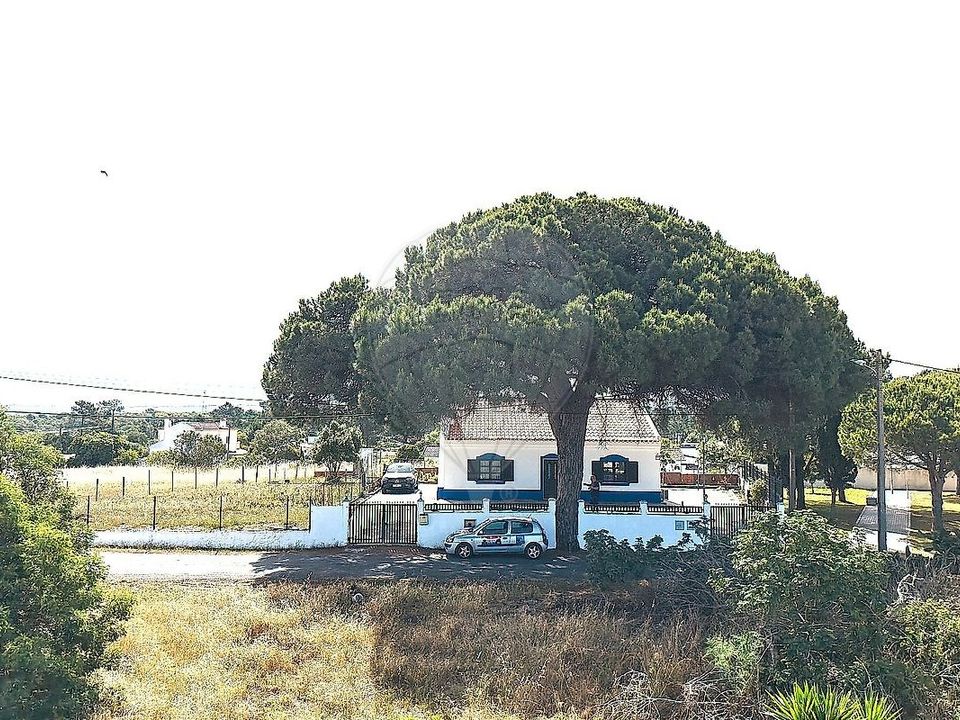 Villa i Santiago do Cacem, Setubal - bilde 3