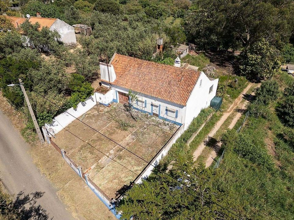 Gårdshus i Santiago do Cacem, Setubal - bilde 2