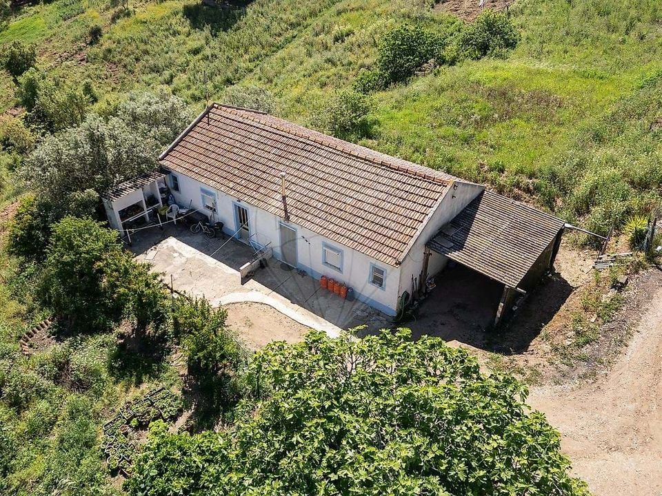 Gårdshus i Santiago do Cacem, Setubal - bilde 3