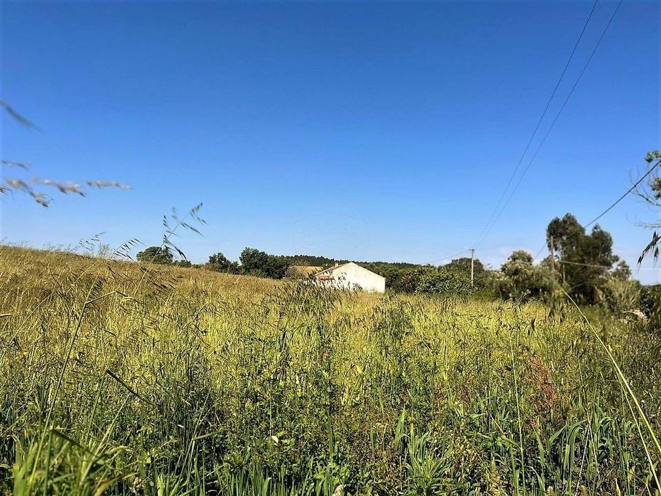 Gårdshus i Santiago do Cacem, Setubal - bilde 5