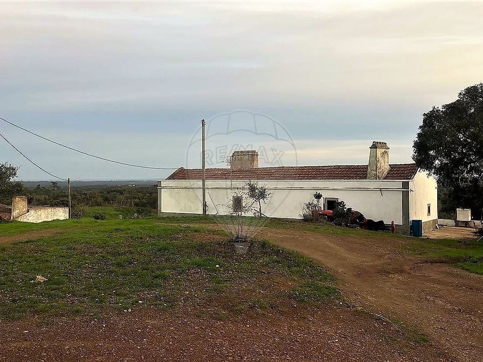 Gårdshus i Santiago do Cacem, Setubal - bilde 2