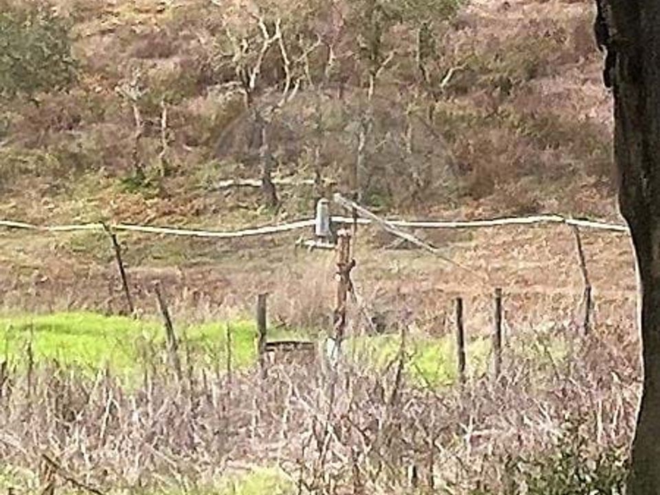 Gårdshus i Grandola, Setubal - bilde 2
