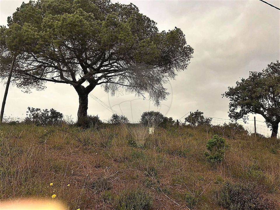 Gårdshus i Grandola, Setubal - bilde 5