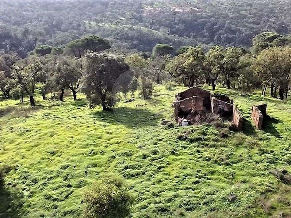 Gårdshus i Grandola, Setubal - bilde 1