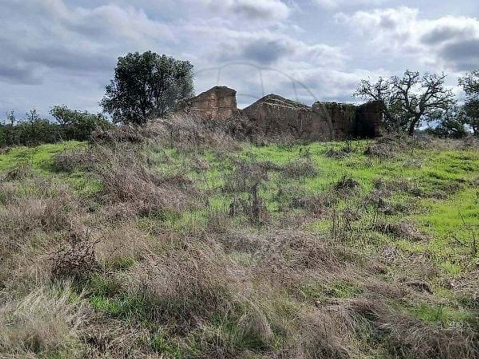 Gårdshus i Grandola, Setubal - bilde 3