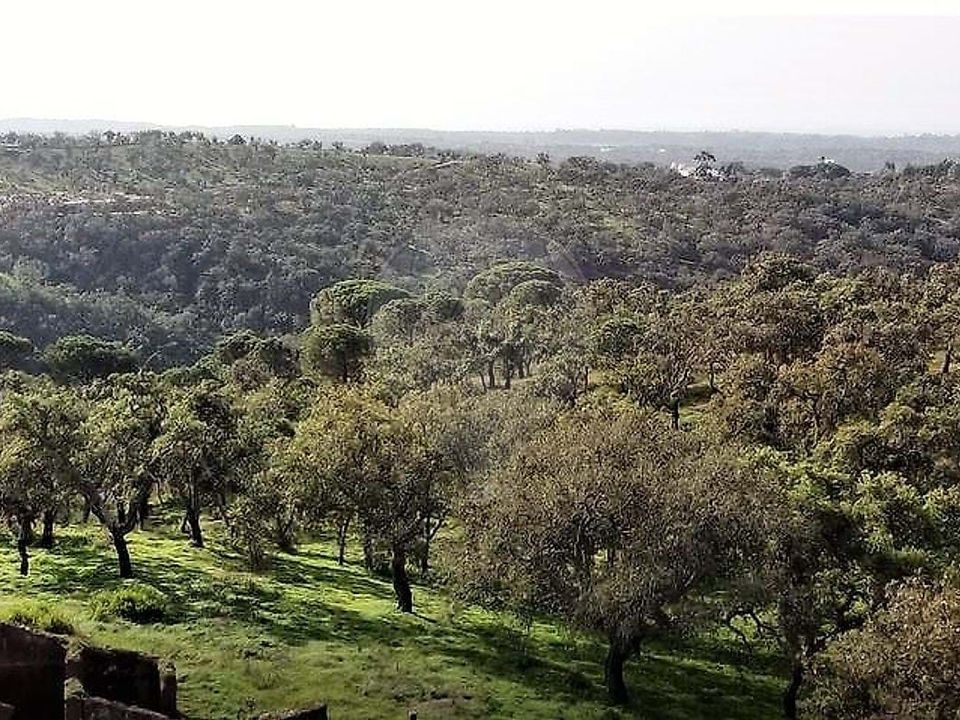 Gårdshus i Grandola, Setubal - bilde 4