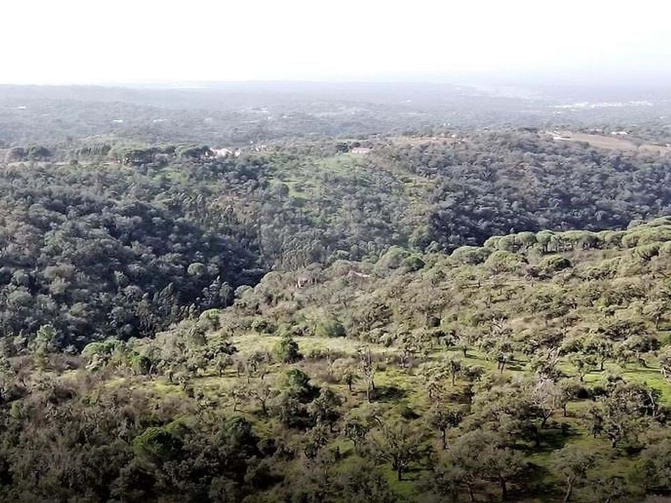 Gårdshus i Grandola, Setubal - bilde 5