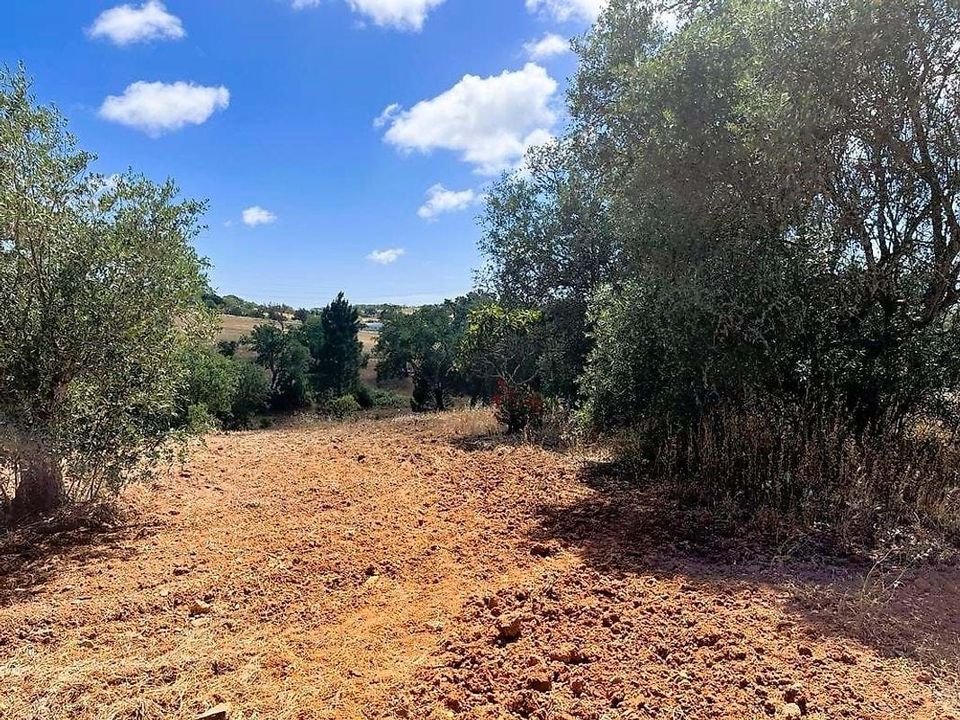 Gårdshus i Santiago do Cacem, Setubal - bilde 3