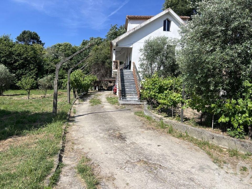 Granja a Viseu, Viseu - foto 2