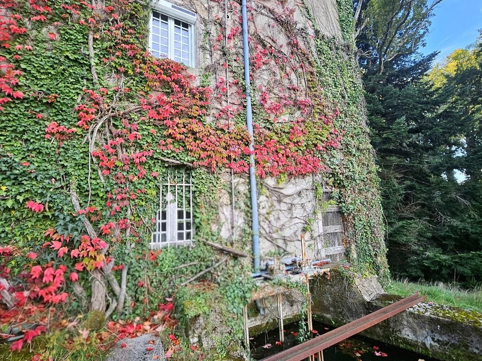 Villa i Saint-Paul-lès-Dax, Landes - foto 2