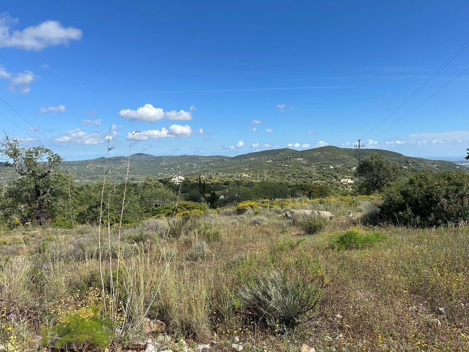 Helårsgrund i Sao Bras de Alportel, Faro - foto 2