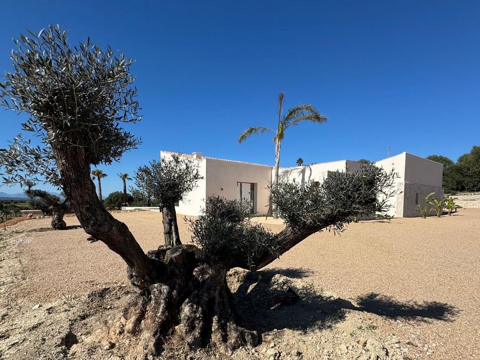 Landejendom i Manacor, Mallorca - foto 2