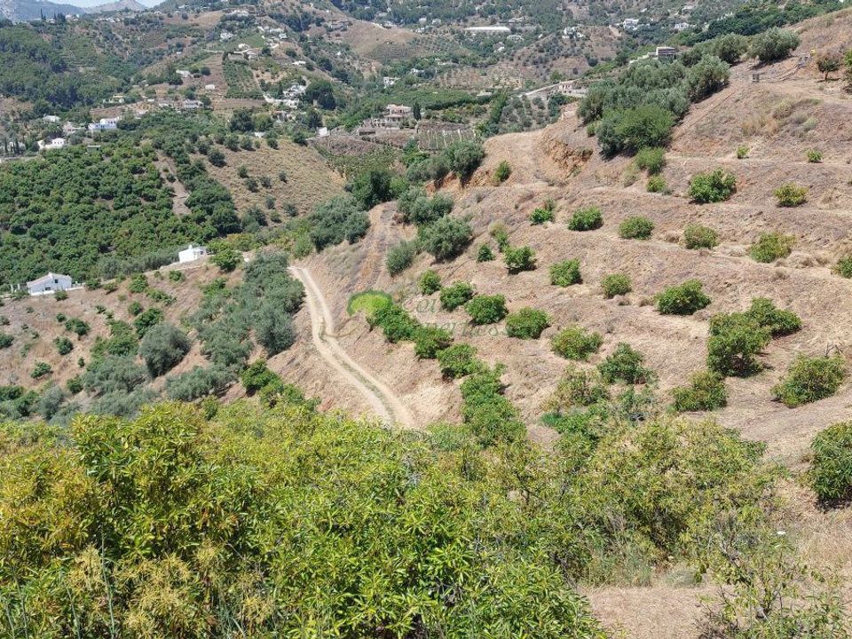 Landejendom i Frigiliana, Malaga - foto 3
