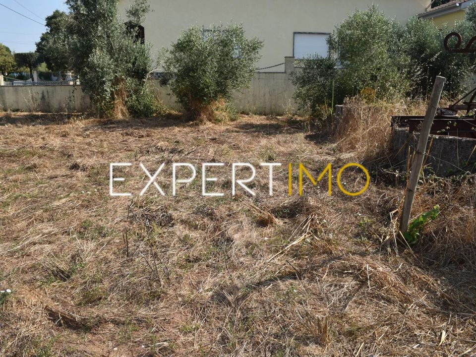 Tomt i Figueiro dos Vinhos, Leiria - bilde 3
