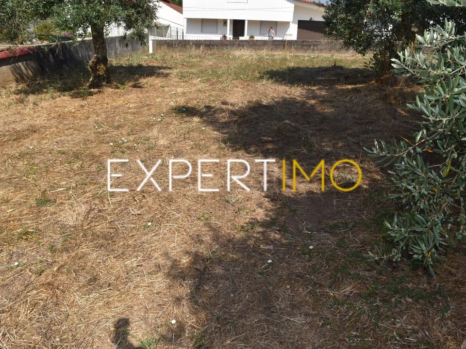 Tomt i Figueiro dos Vinhos, Leiria - bilde 4