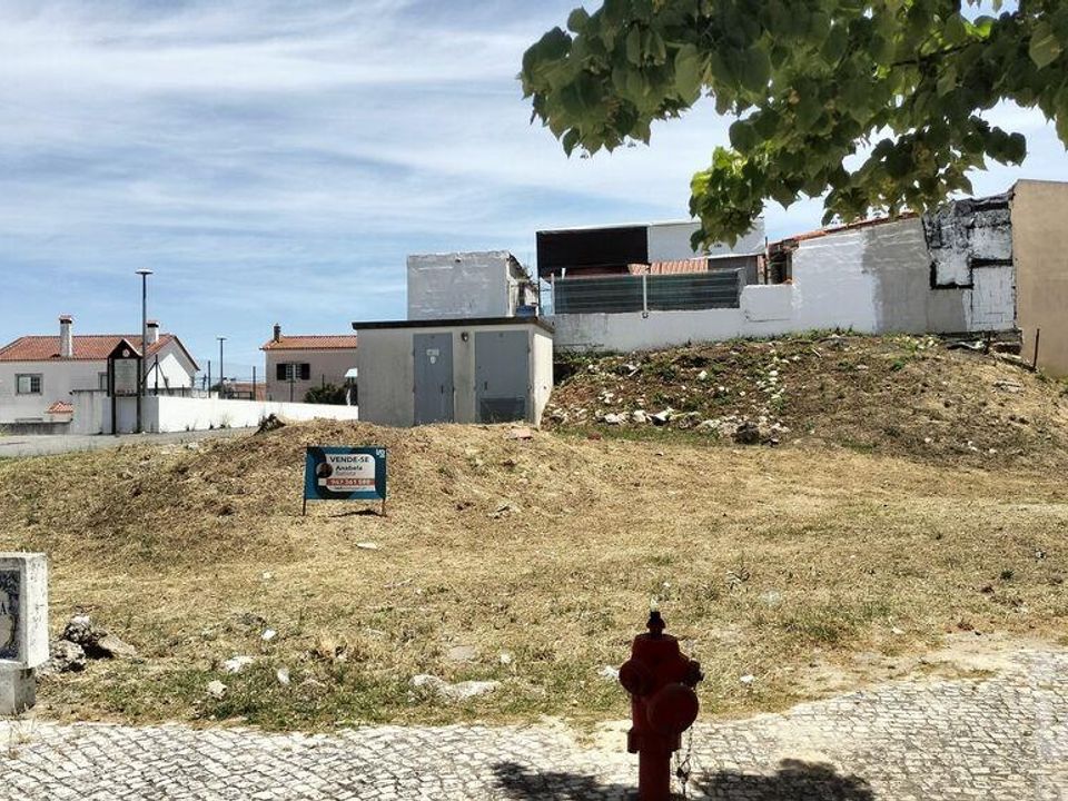 Terra a Santarem, Santarem - foto 3