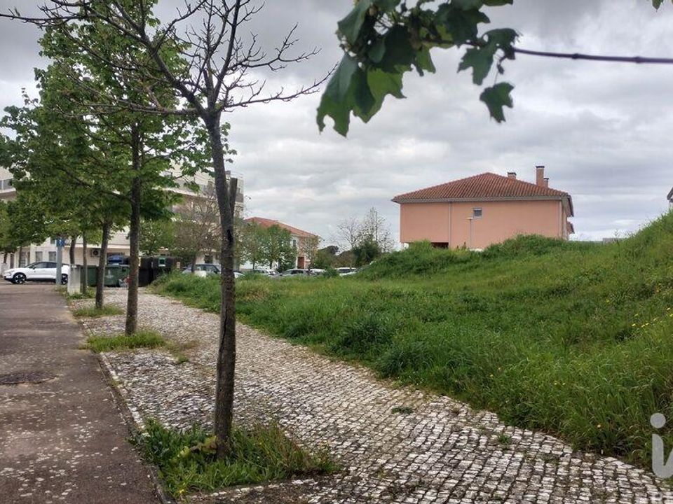Terra a Santarem, Santarem - foto 5