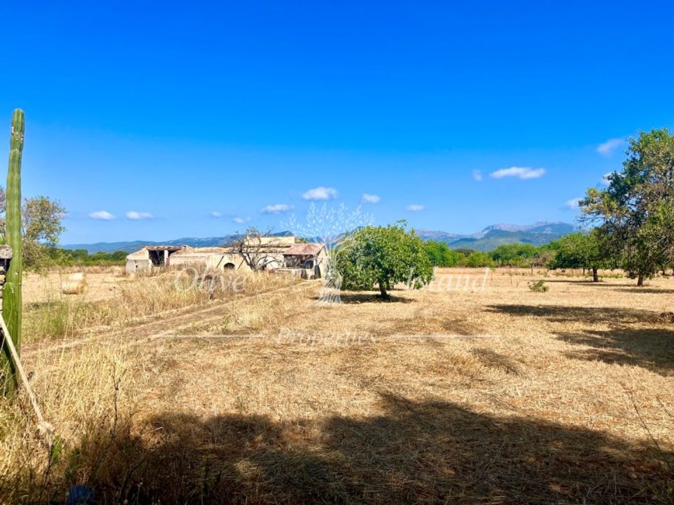 Grond in Binissalem, Mallorca - foto 1