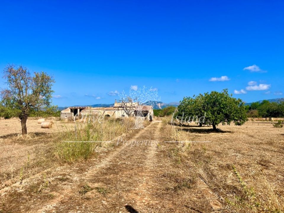 Grond in Binissalem, Mallorca - foto 2