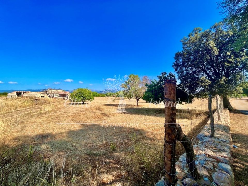 Grond in Binissalem, Mallorca - foto 3
