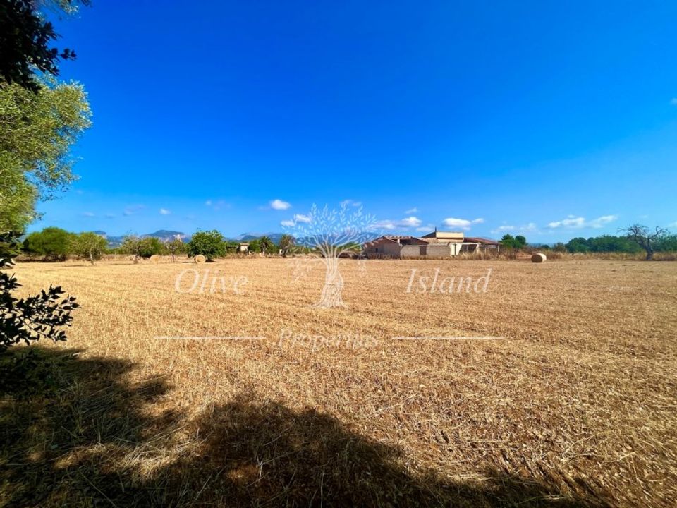 Grond in Binissalem, Mallorca - foto 4