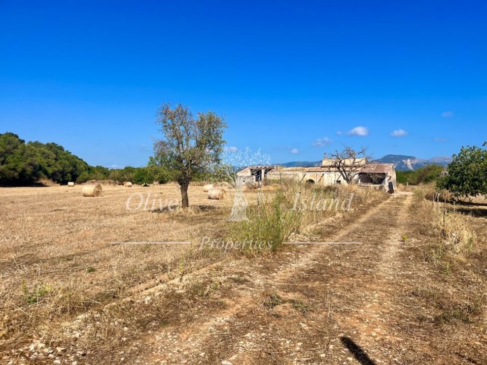 Grond in Binissalem, Mallorca - foto 5