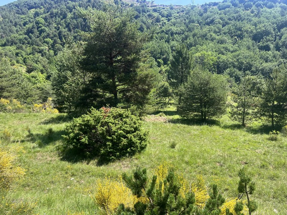 Helårsgrund i Sospel, Alpes-Maritimes - foto 4