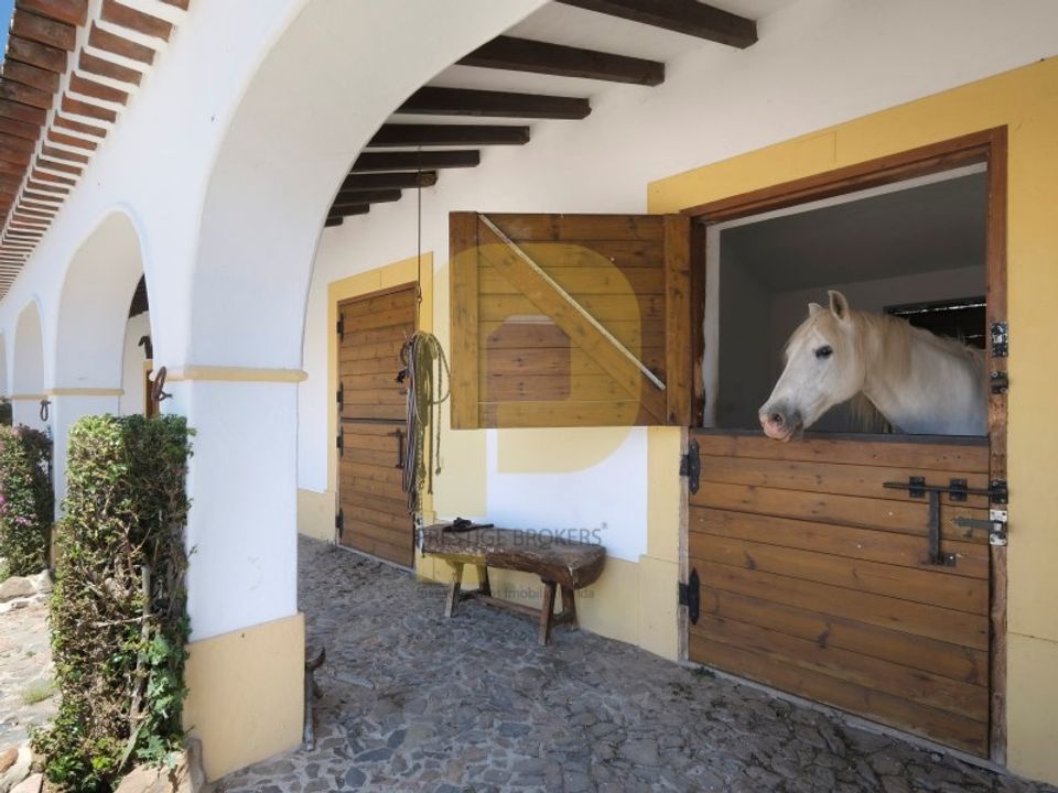 Villa a Monforte, Portalegre - foto 2