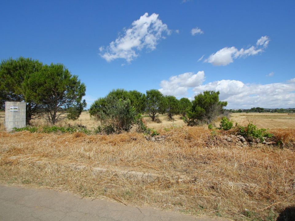 Helårsgrund i Parabita, Lecce - foto 4