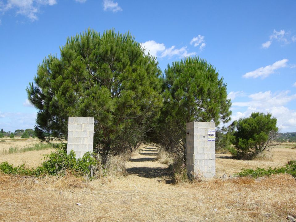 Helårsgrund i Parabita, Lecce - foto 5