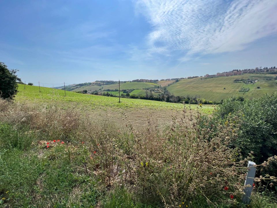 Helårsgrund i Fermo, Fermo - foto 1