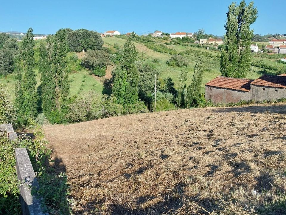 Tomt i Alcacovas, Evora - bilde 1