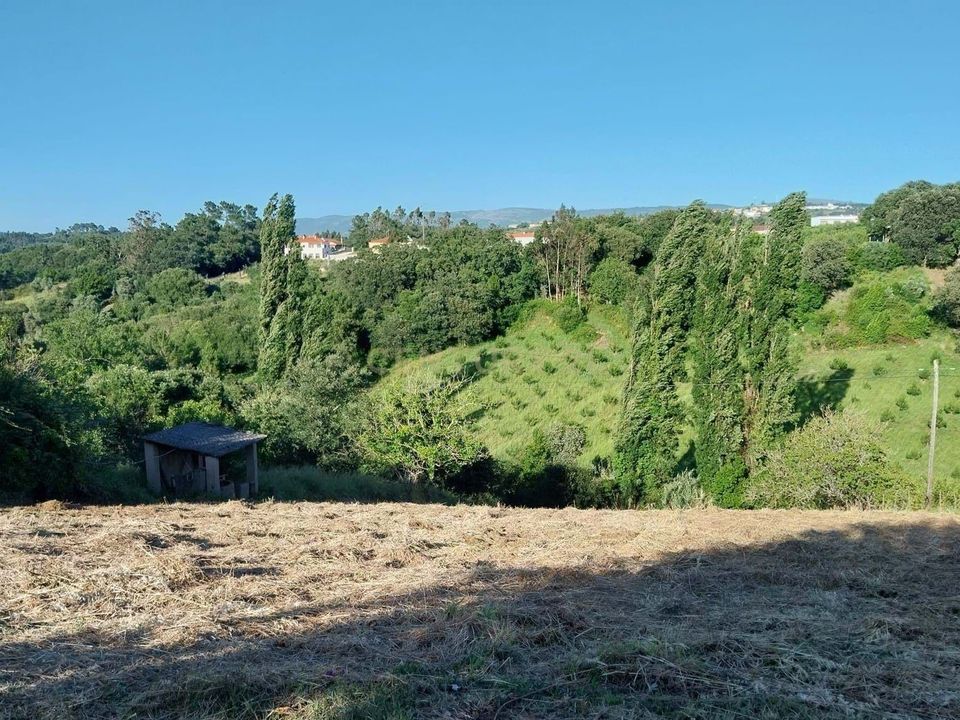 Tomt i Alcacovas, Evora - bilde 2