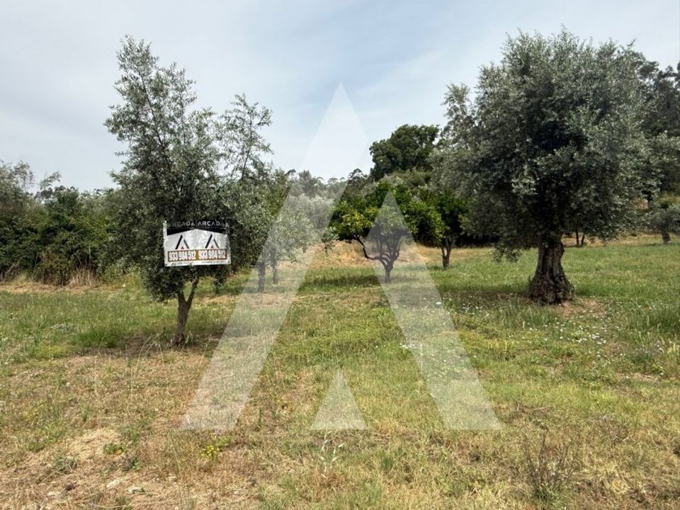 Helårsgrund i Pombal, Leiria - foto 1