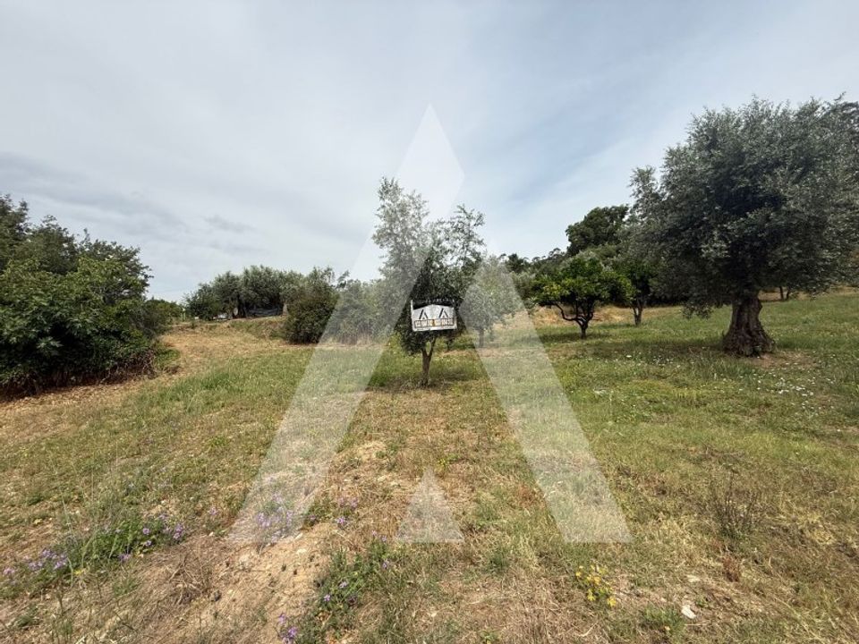 Helårsgrund i Pombal, Leiria - foto 4