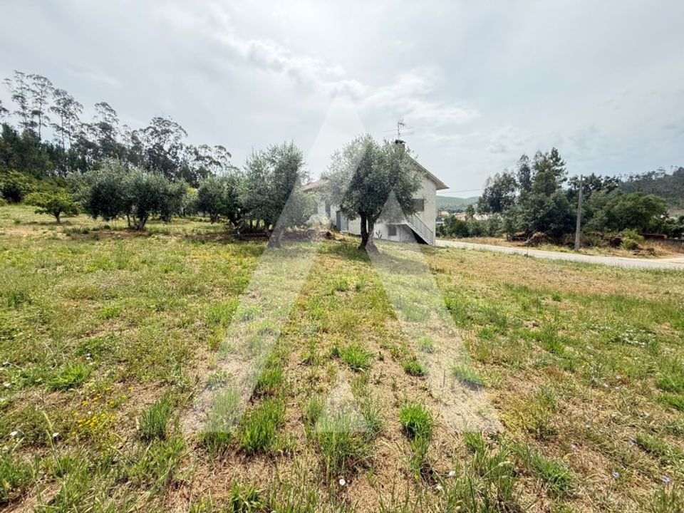 Helårsgrund i Pombal, Leiria - foto 5