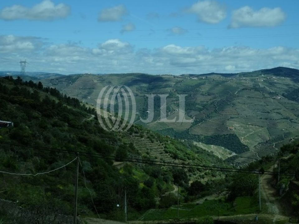 Villa in Castanheiro do Sul, Viseu - foto 5