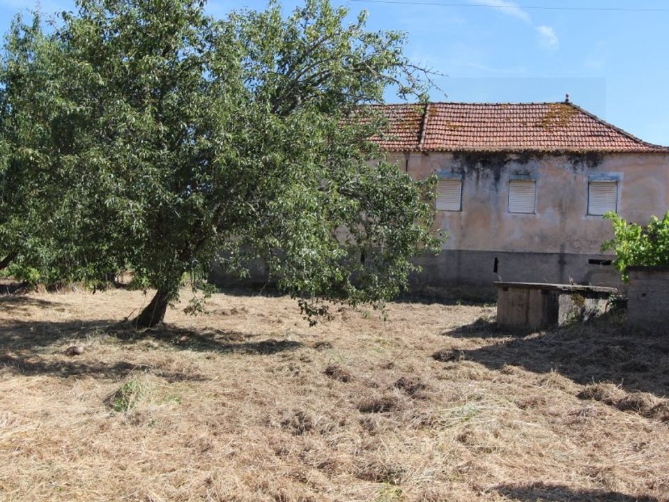 Farm i Tabua, Coimbra - foto 5