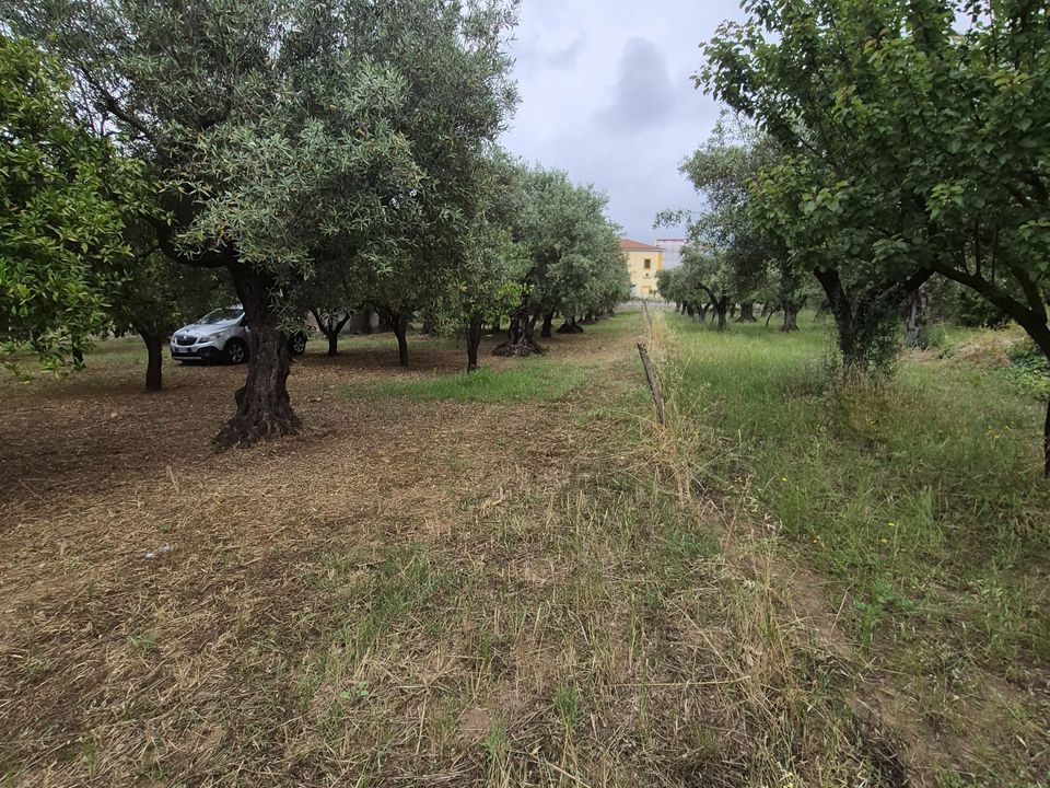 Helårsgrund i Lamezia Terme, Catanzaro - foto 1