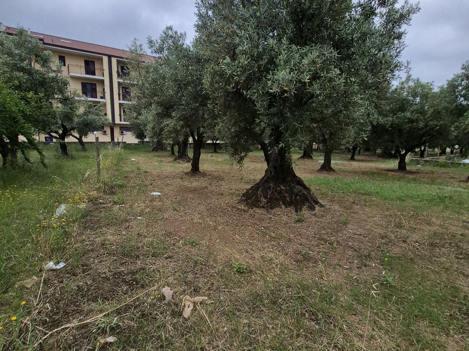 Helårsgrund i Lamezia Terme, Catanzaro - foto 2