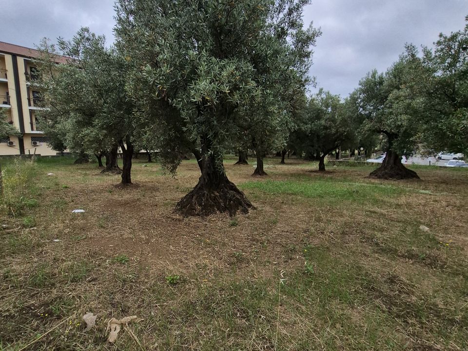 Helårsgrund i Lamezia Terme, Catanzaro - foto 3