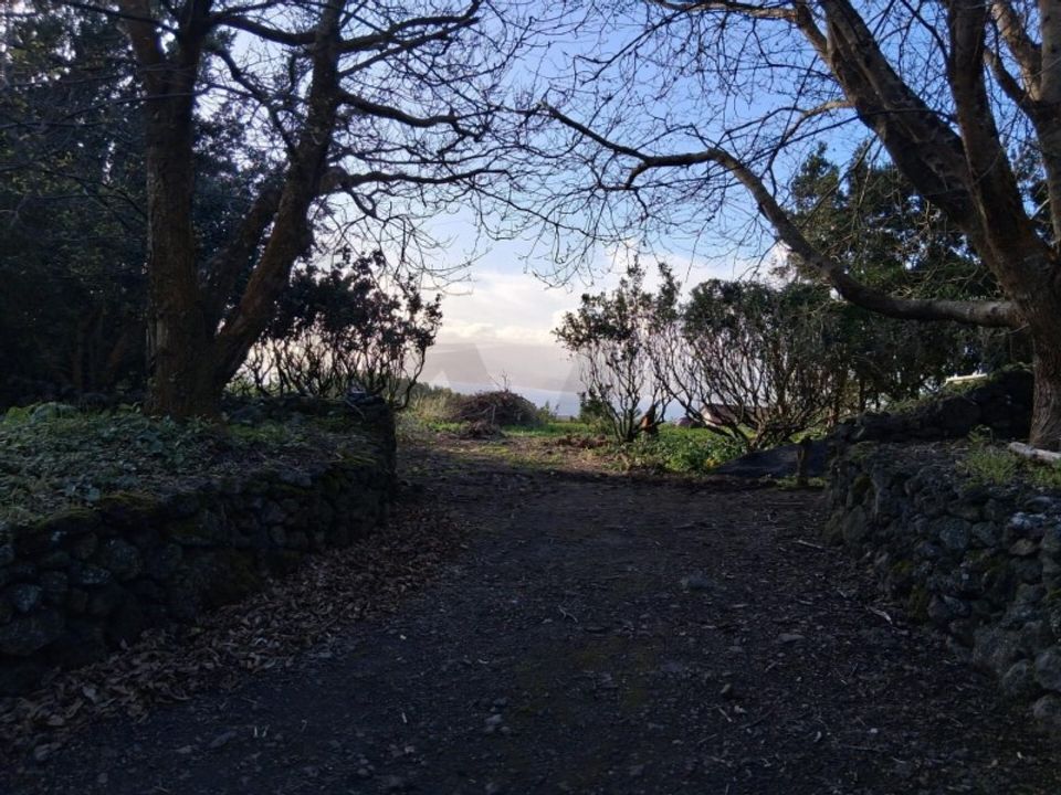 Helårsgrund i Madalena, Pico - foto 2