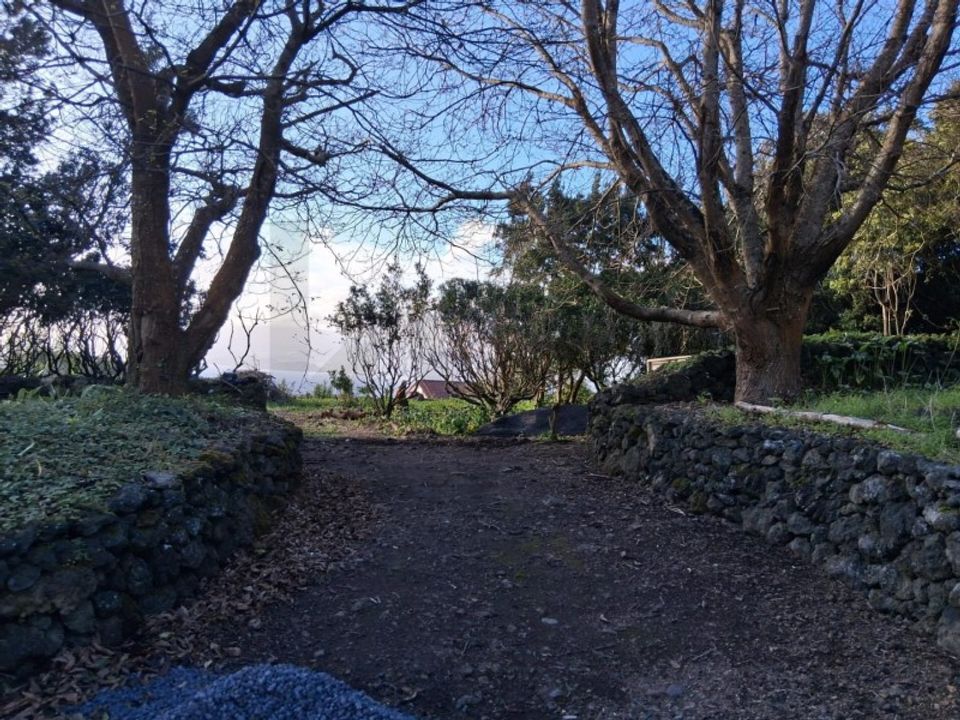 Helårsgrund i Madalena, Pico - foto 3