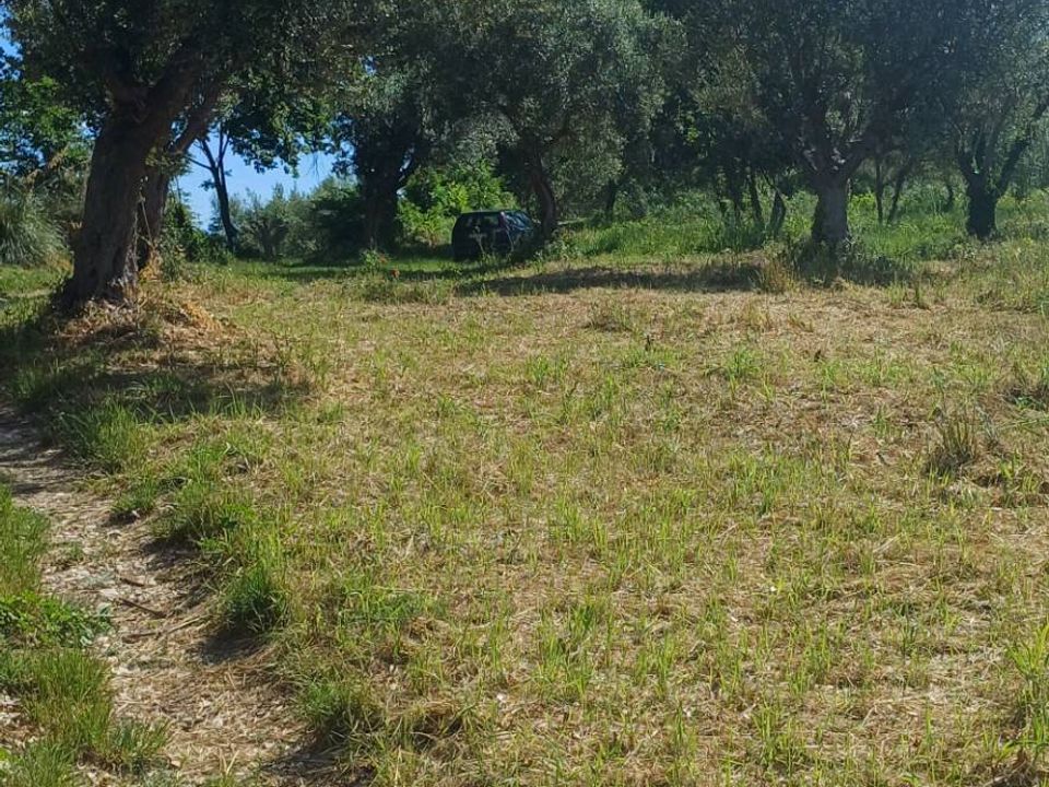 Landejendom i Massignano, Ascoli Piceno - foto 3