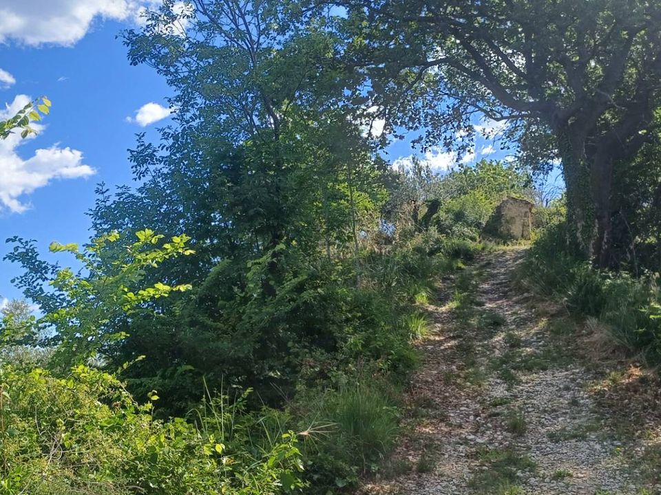 Landejendom i Massignano, Ascoli Piceno - foto 4