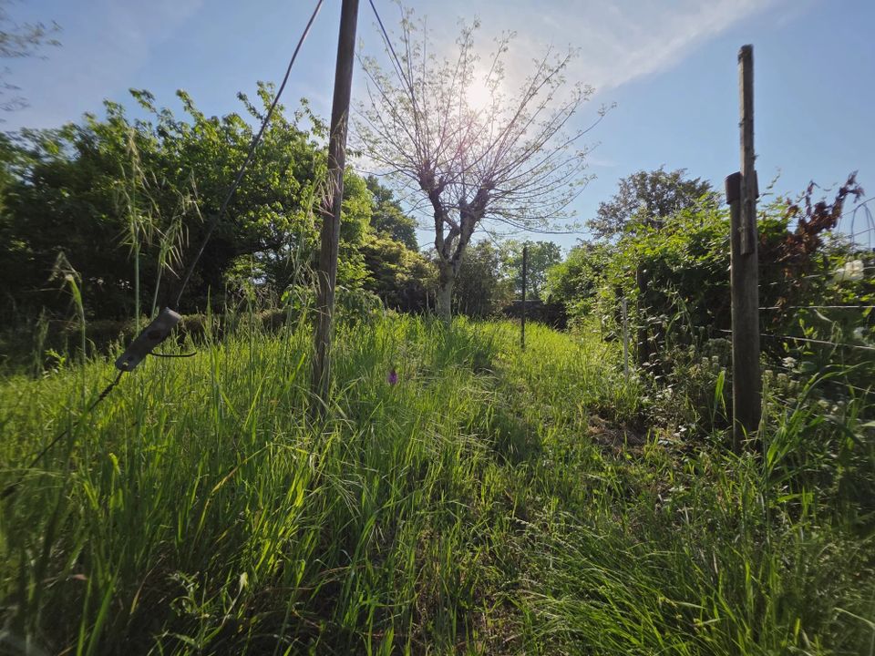 Villa i Eymet, Dordogne - foto 2