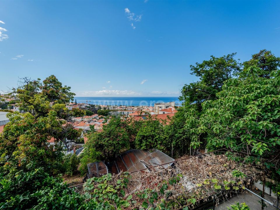 Helårsgrund i Funchal, Madeira - foto 1
