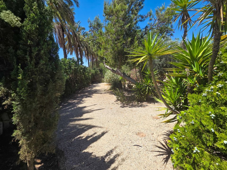 Villa i Elche, Alicante - foto 5